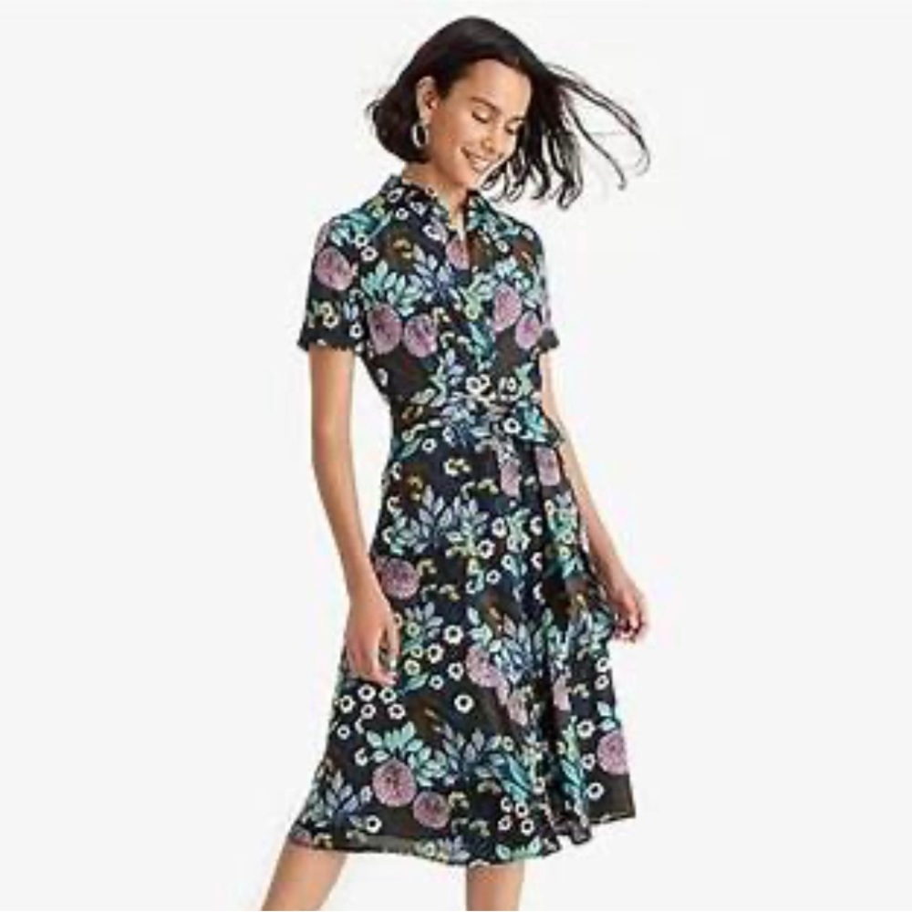 Abigail Borg J Crew Shirtdress